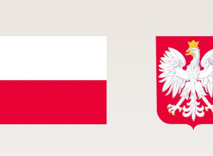 Grafika przedstawia flagę oraz godło Polski na różowym tle.